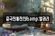 중국전통전신&발관리