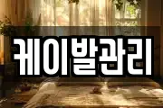 케이발관리