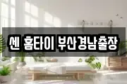 센 홈타이 부산경남출장