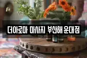 부산광역시 해운대구 우동 마사지, 지압등 업체정보