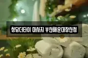 부산광역시 해운대구 좌동 마사지, 지압등 업체정보