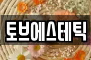 토브에스테틱