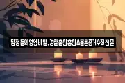 탐정들의영업비밀,경찰출신흥신소불륜증거수집전문