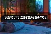 탐정들의영업비밀,경찰출신흥신소불륜증거수집전문