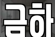 금하