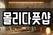 몰리다풋샵