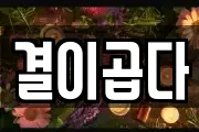 결이곱다