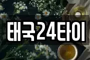 태국24타이
