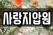 사랑지압원