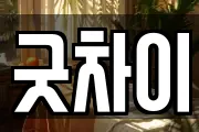 굿차이