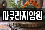 사쿠라지압원