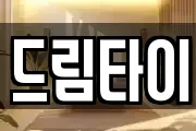 드림타이