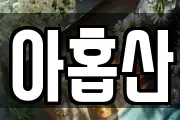 아홉산
