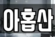 아홉산