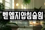 벧엘지압침술원