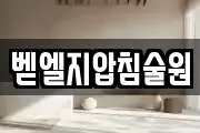 벧엘지압침술원