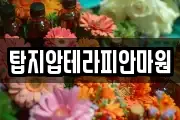 탑지압테라피안마원