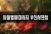 사월별채마사지 부산서면점