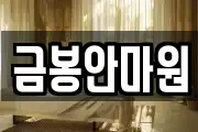 금봉안마원