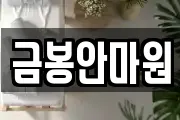 금봉안마원