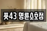 풋43 명륜소호점