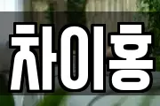 차이홍