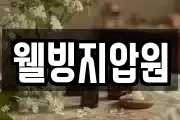 웰빙지압원
