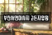 부산 부산진구 마사지, 지압등 업체정보