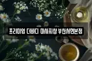 프리미엄 더바디 마사지샵 부산서면본점