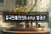 중국전통전신&발관리