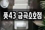 부산 북구 금곡동 마사지, 지압등 업체정보