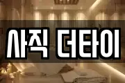 사직 더타이