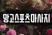 망고스포츠마사지