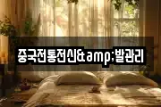 중국전통전신&발관리