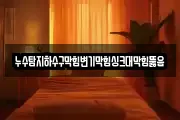누수탐지하수구막힘변기막힘싱크대막힘뚫음