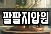 팔팔지압원
