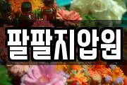 팔팔지압원