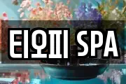 티오피 SPA