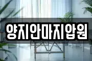 양지안마지압원