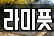 라미풋
