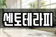 센토테라피