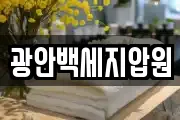 광안백세지압원