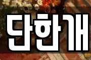 단한개