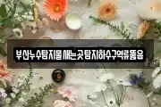 부산누수탐지물새는곳탐지하수구역류뚫음