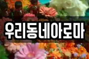 우리동네아로마