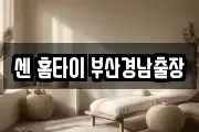 센 홈타이 부산경남출장