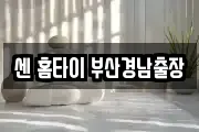 센 홈타이 부산경남출장