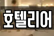 호텔리어