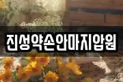 진성약손안마지압원