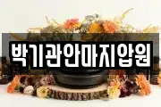 박기관안마지압원